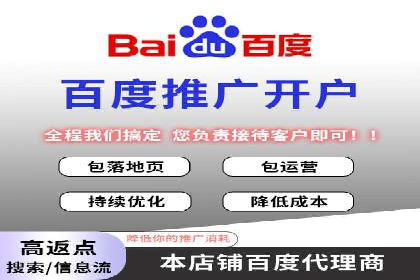 百度竞价策略解析：案例分析及优化建议